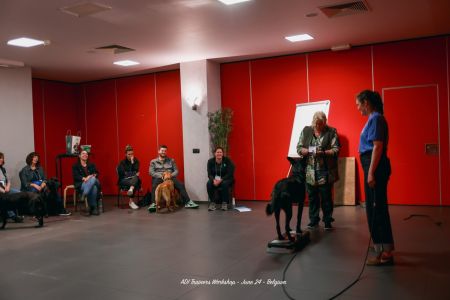 Chien d'aide Osmose