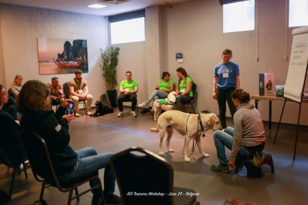 Chien d'aide Osmose