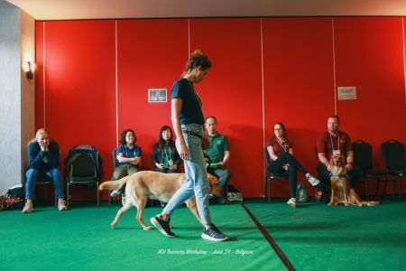 Chien d'aide Osmose