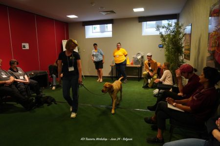 Chien d'aide Osmose