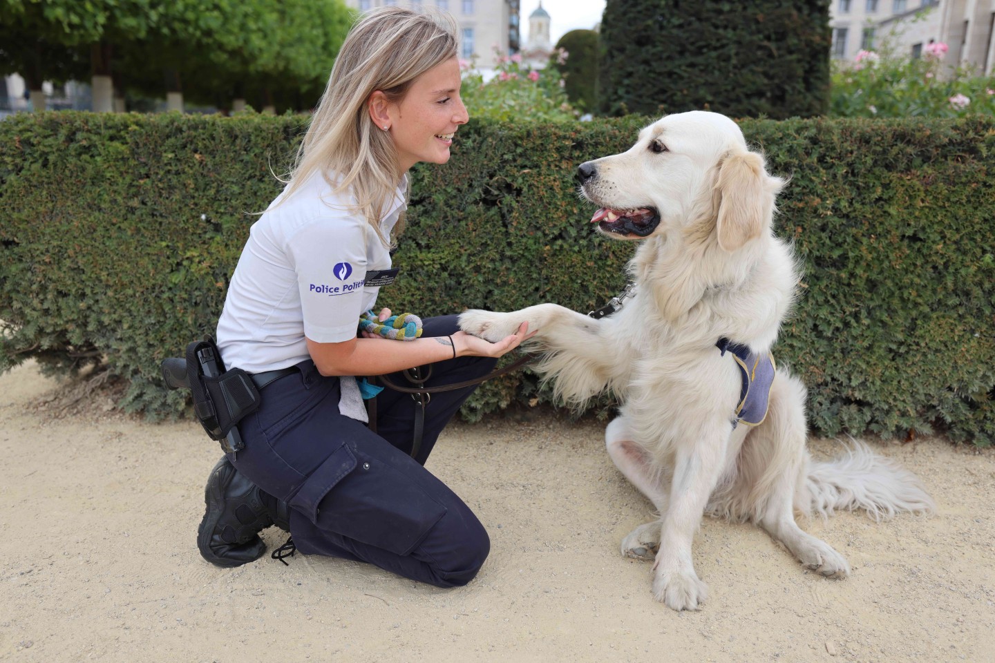 Chien d'assistance judiciaire