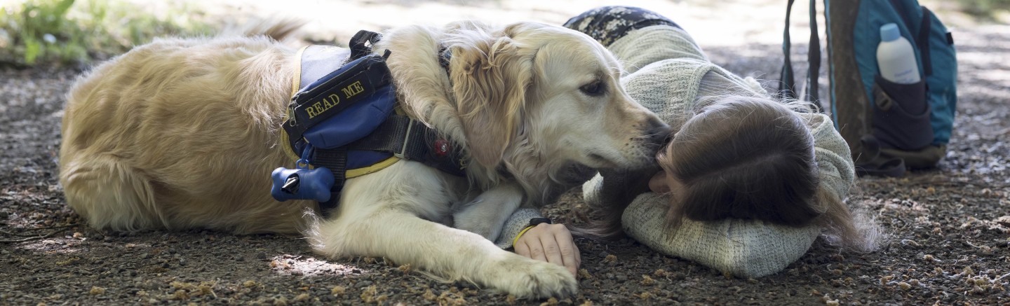 Chien d'assistance pour personne épileptique