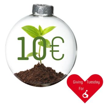 Boule de Noël (grande) - déco centre Os'mose