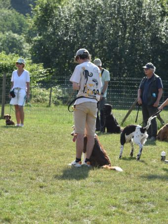 Centre d'éducation canine