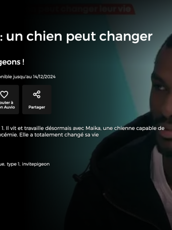 On n'est pas des pigeons On n'est pas des pigeons