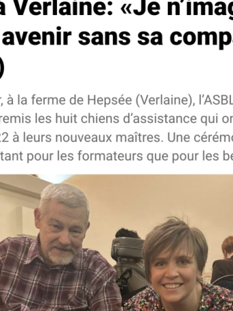 8 chiens offerts : 4 reportages 8 chiens offerts : 4 reportages