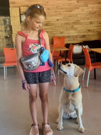 Chien pour personne diabétique Chien pour personne diabétique