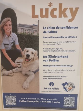Chien projet spécial Chien projet spécial