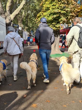 Chien d'assistance Os'mose