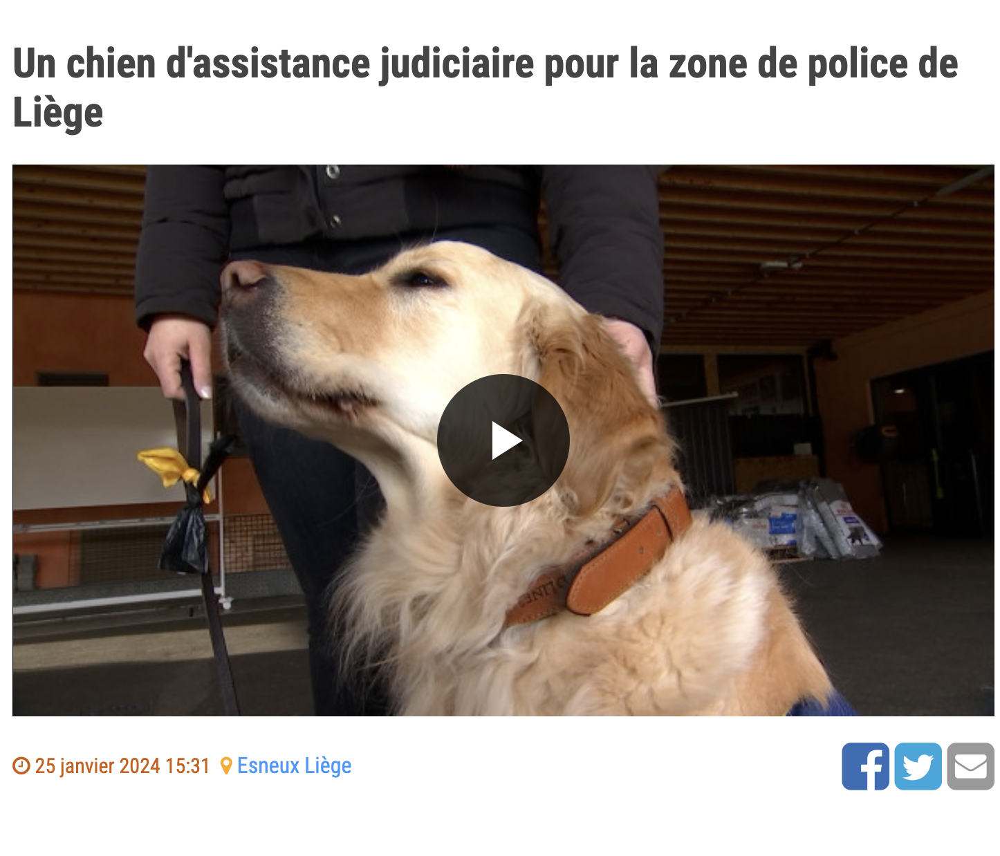 RTC Télé Liège : MJ à la police de Liège