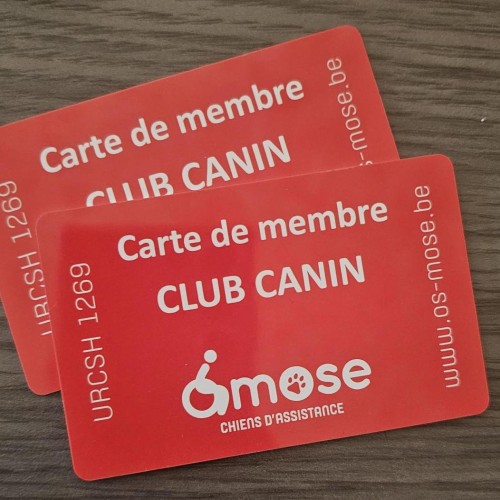 Leçons club canin